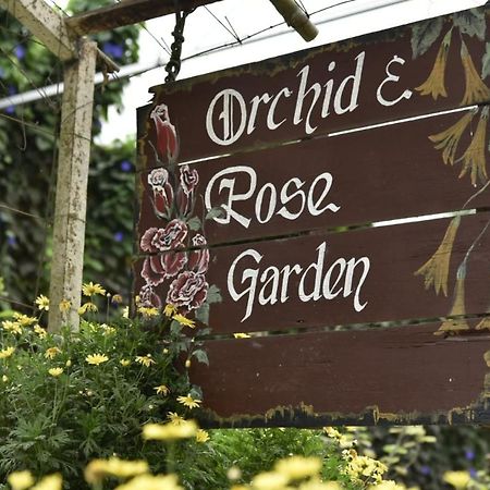 Mag Homestay At Crown Imperial Court, Brinchang Cameron Highlands Exterior photo