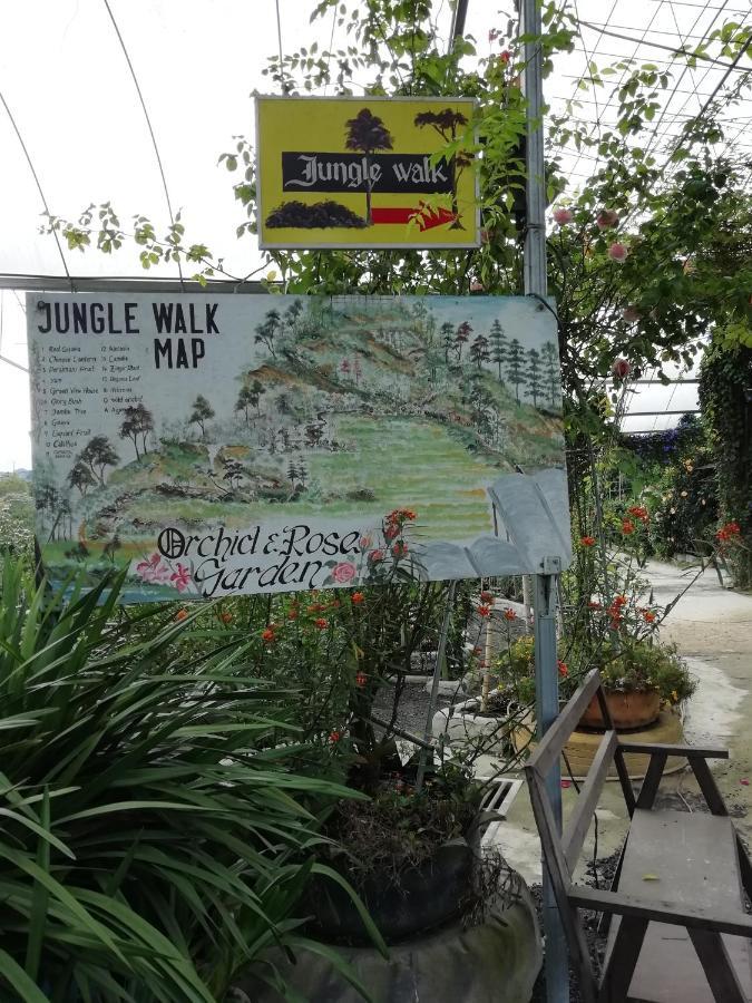 Mag Homestay At Crown Imperial Court, Brinchang Cameron Highlands Exterior photo